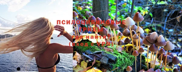 круглые Алексеевка