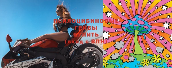 круглые Алексеевка
