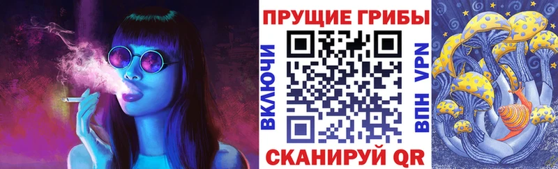 KRAKEN ONION где можно купить наркотик Ядрин Псилоцибиновые грибы мухоморы